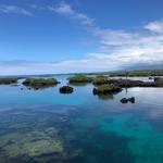 Tuneles Tour showing the lava formations and beautiful clear water to accompany our guests testimonial from her Galapagos tour.